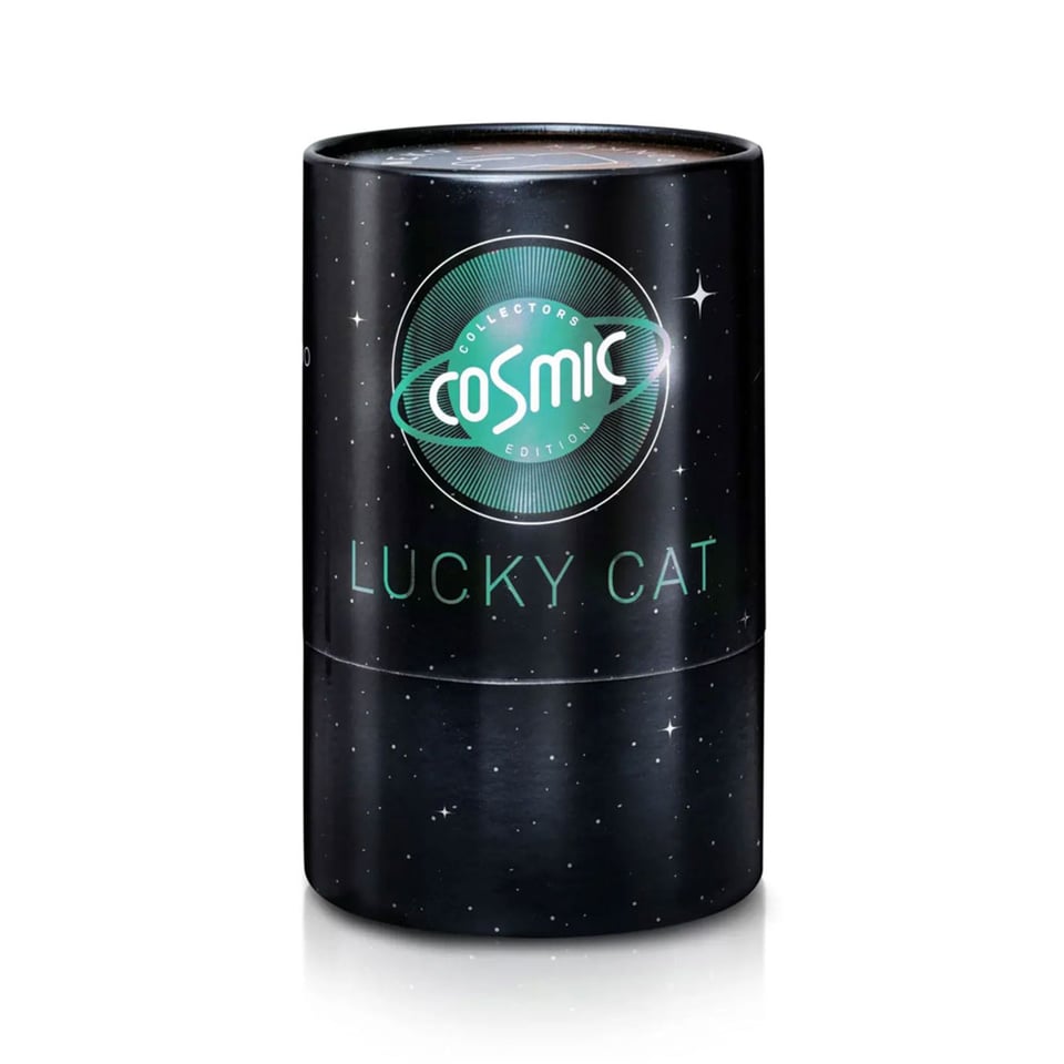 Lucky Cat Cosmic Shiny Teal Metallic 10x15cm in Cadeau Doos