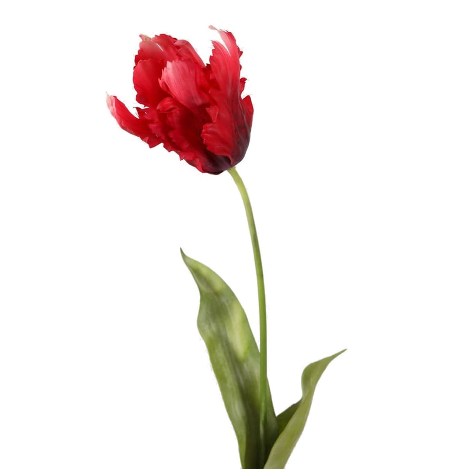 Kunstbloem Papegaai Tulp Cerise Op Steel 83cm