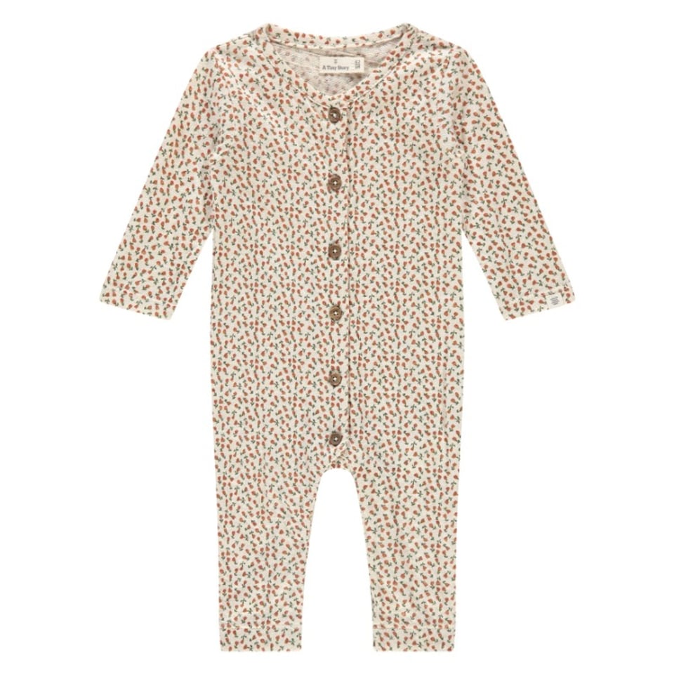 A Tiny Story Baby Suit Flowers