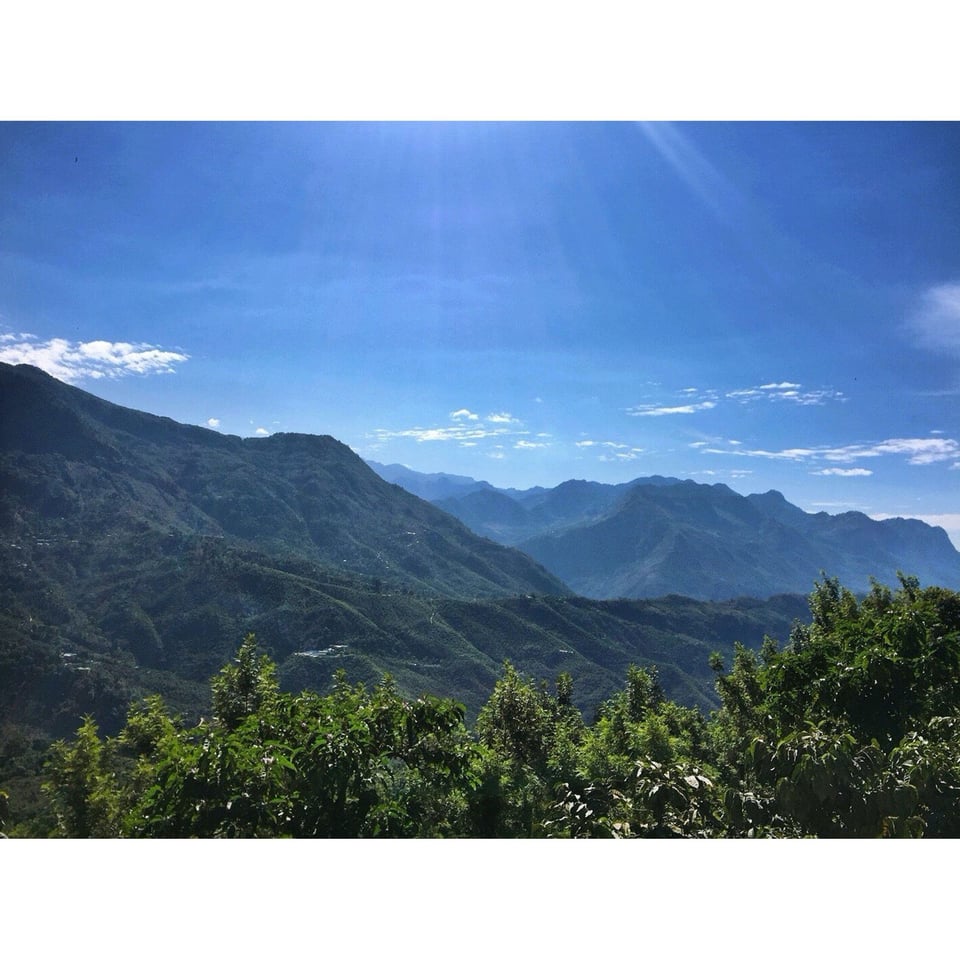 Guatemala - Primavera Family