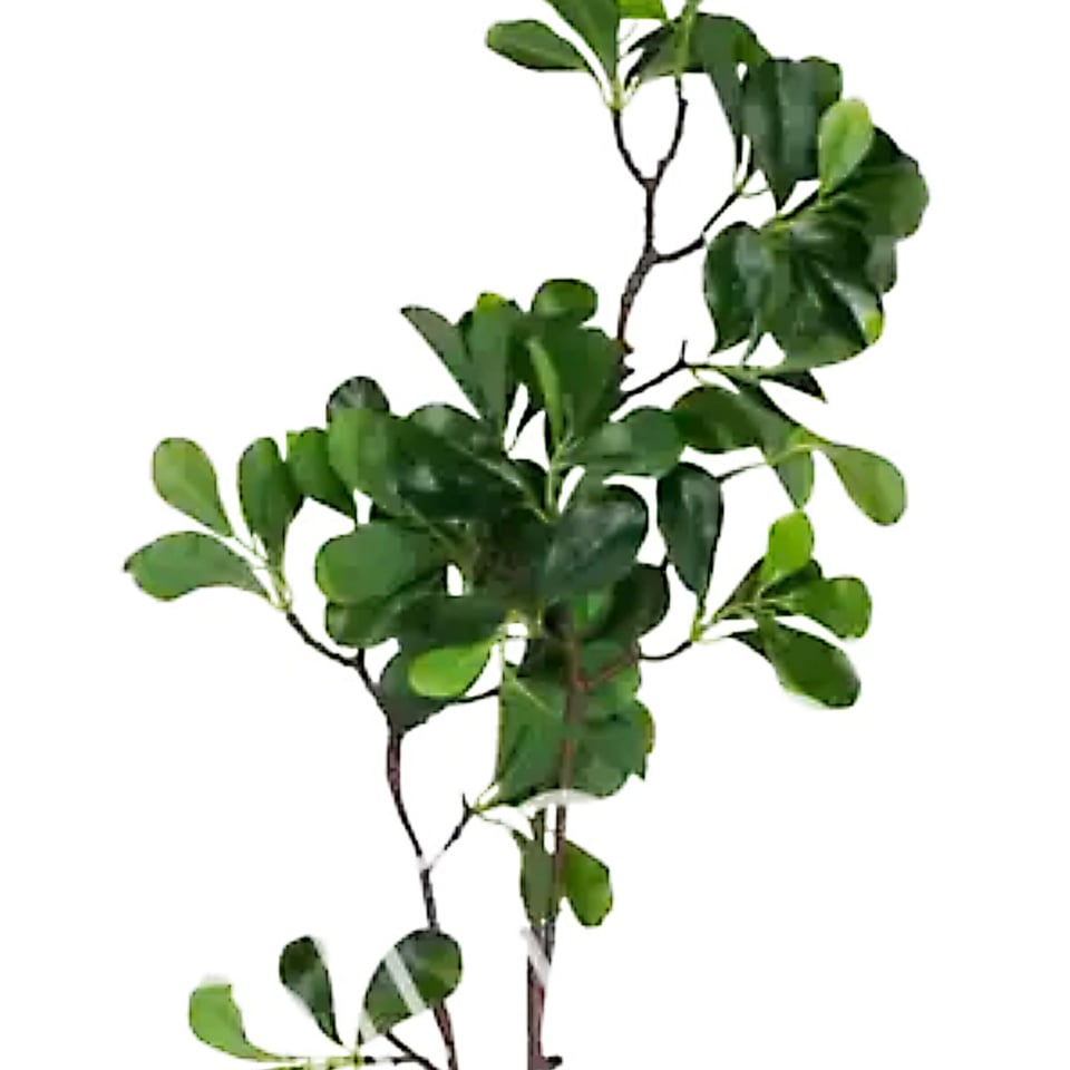 Kunstbloem Groene Bladeren Op Tak 97cm