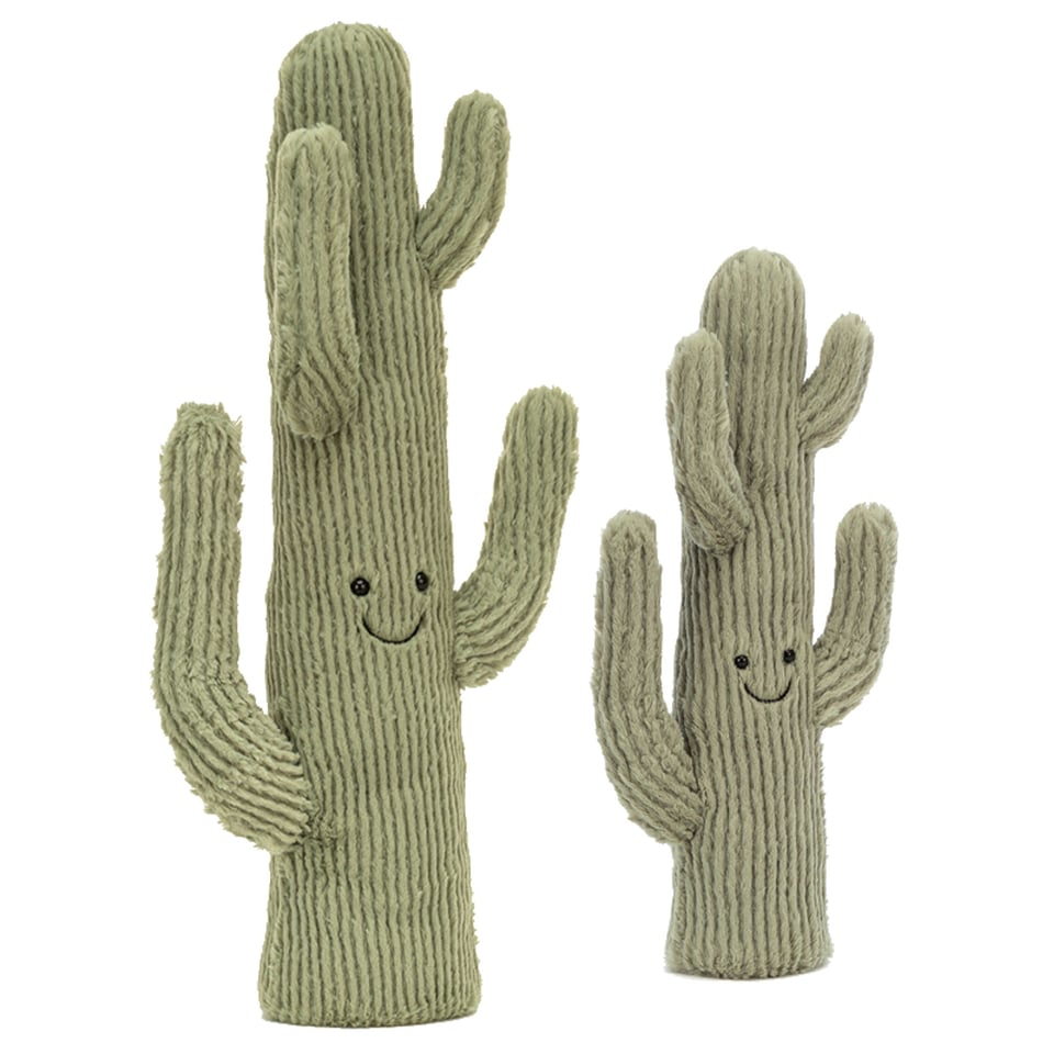 Amuseable Desert Cactus Large
