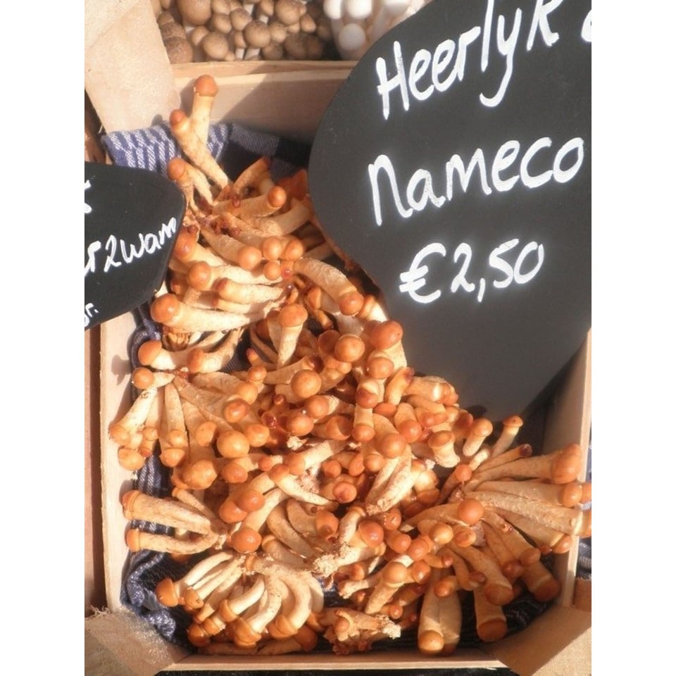 Nameco - Bio 100 Gram