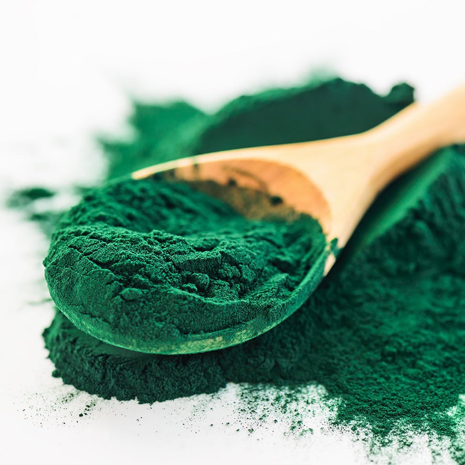 Spirulina Powder Organic