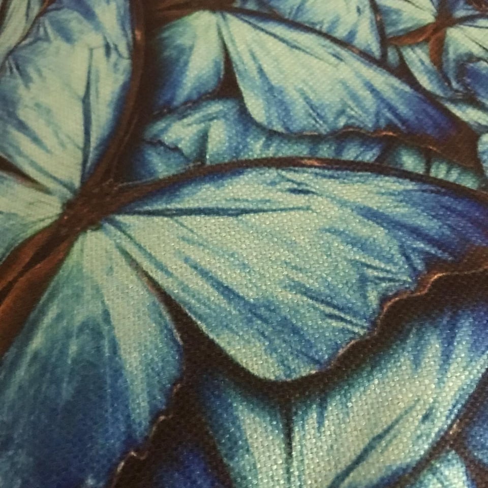 Kussenhoes blauwe vlinders. Mooie vlinders kussenhoes turquoise blauw zwart. Decoratieve kussensloop, mooie sierkussenhoes 45x45
