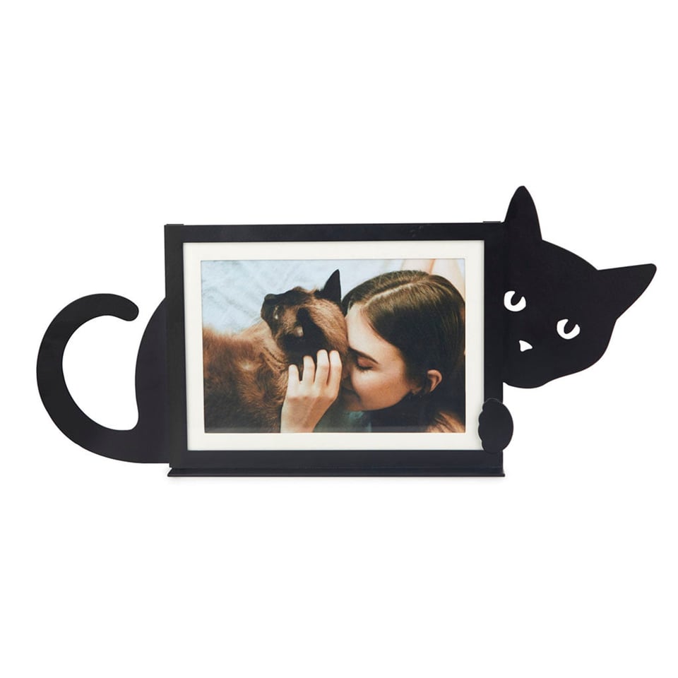 Photo Frame Hidden Cat