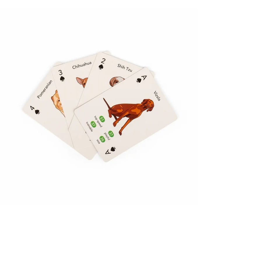 KIKKERLAND Poot & Play Speelkaarten