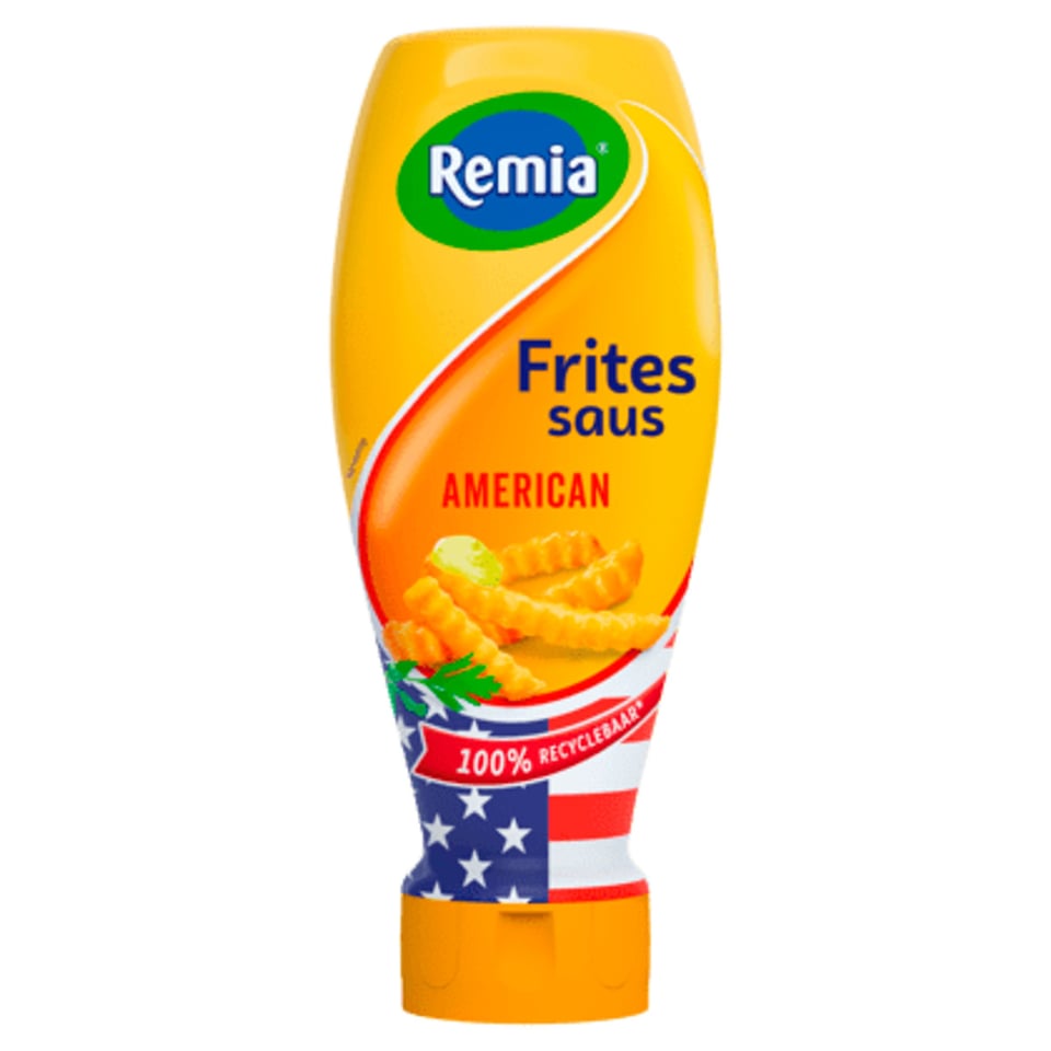 Remia Remia American Fritessaus Topdown