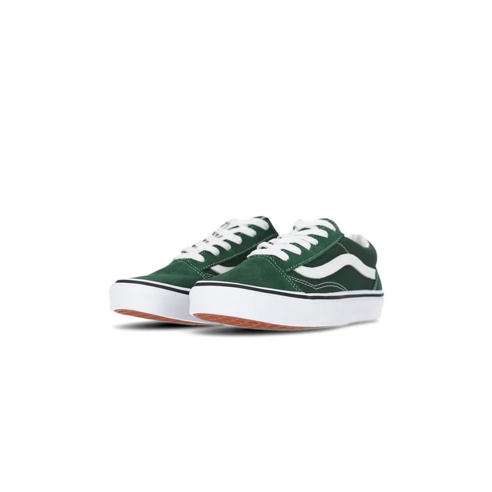 Vans Old Skool Color Theory Mountain View