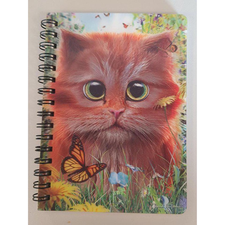 3D Notitieboekje Ginger Kitten