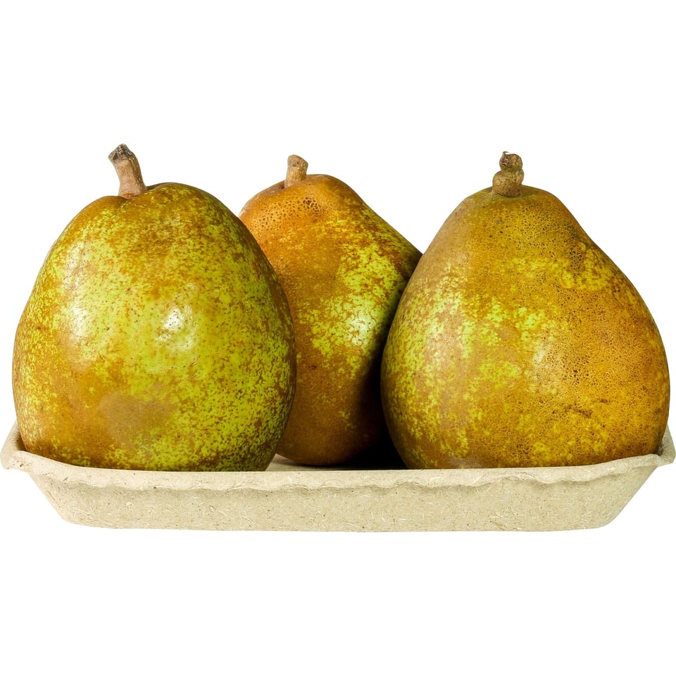 Doyenne Du Comice Peren