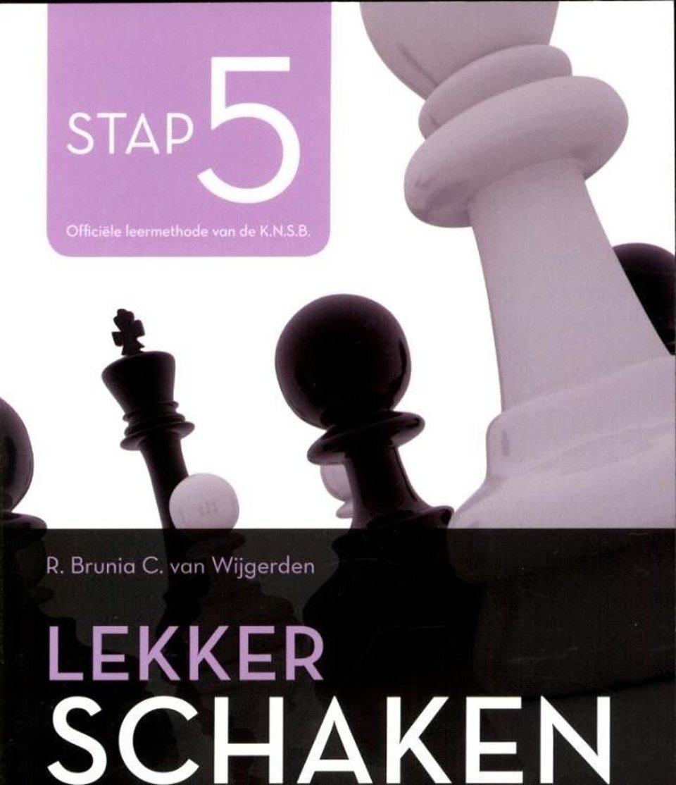 Lekker schaken stap 5, Brunia & van Wijgerden