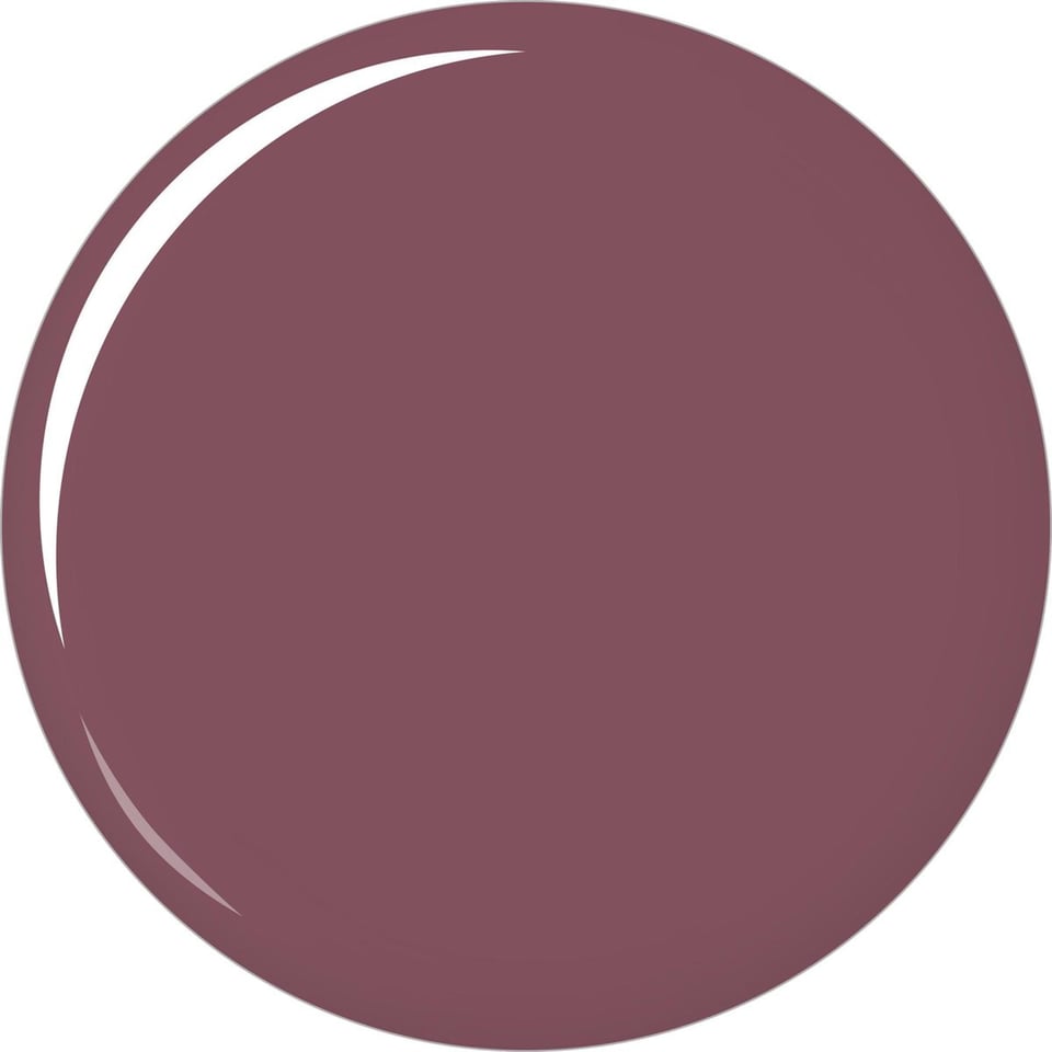 Maybelline Satin Collection Lipstick - 240 Silver Plum