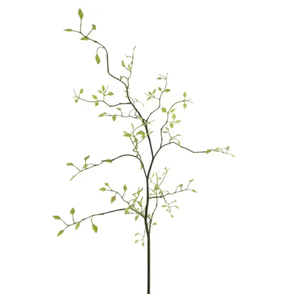 Kunstbloem Kamperfoelie Groen Tak 96cm