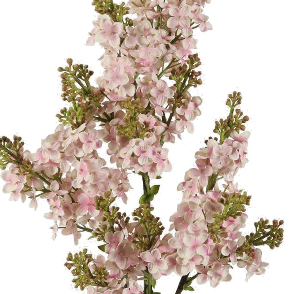 Kunstbloem Bloesem Lila Spray Tak 76cm