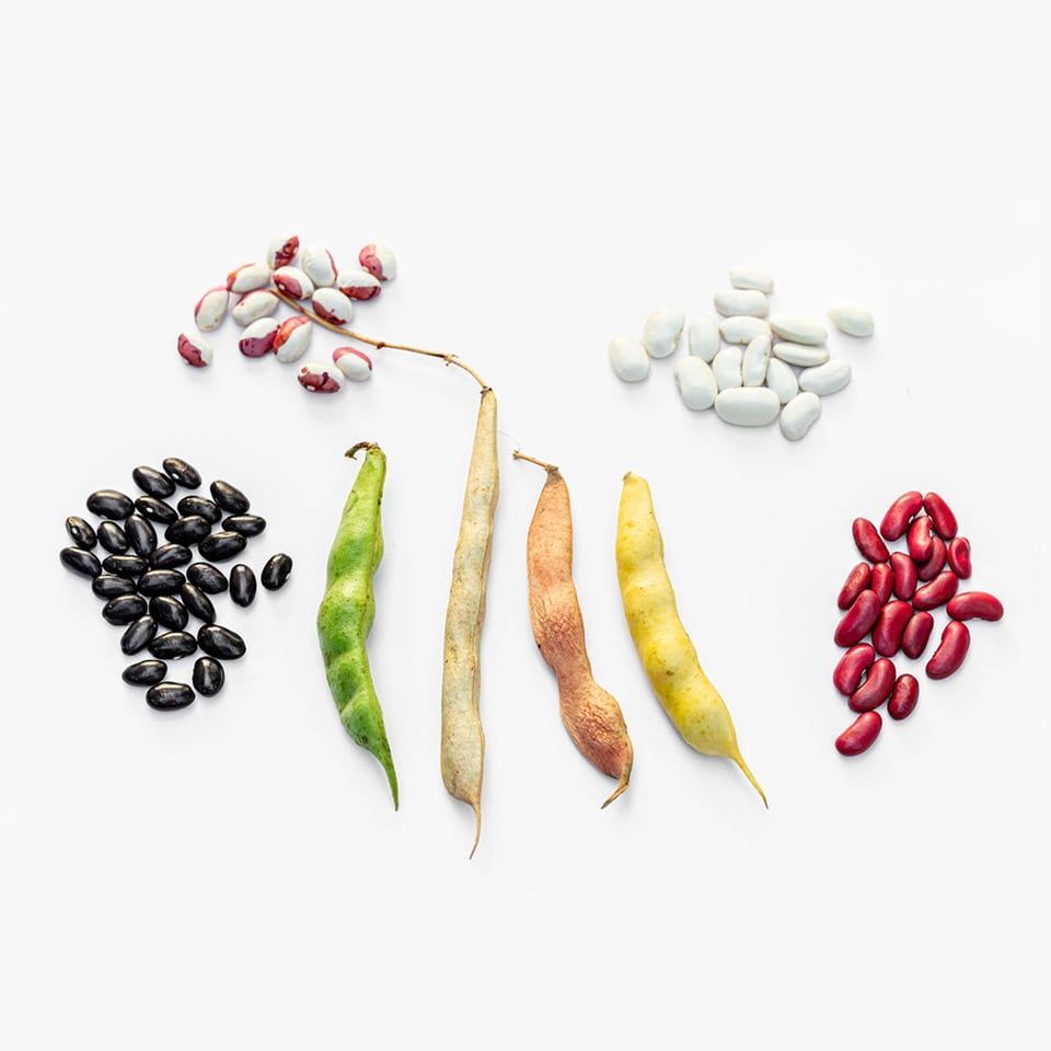 Borlotti-Pinto Beans Organic