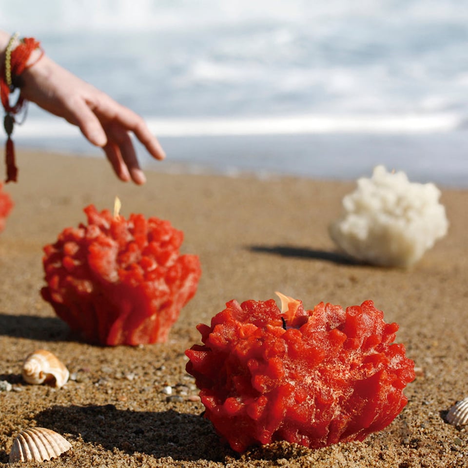 Cerabella Coral Candles