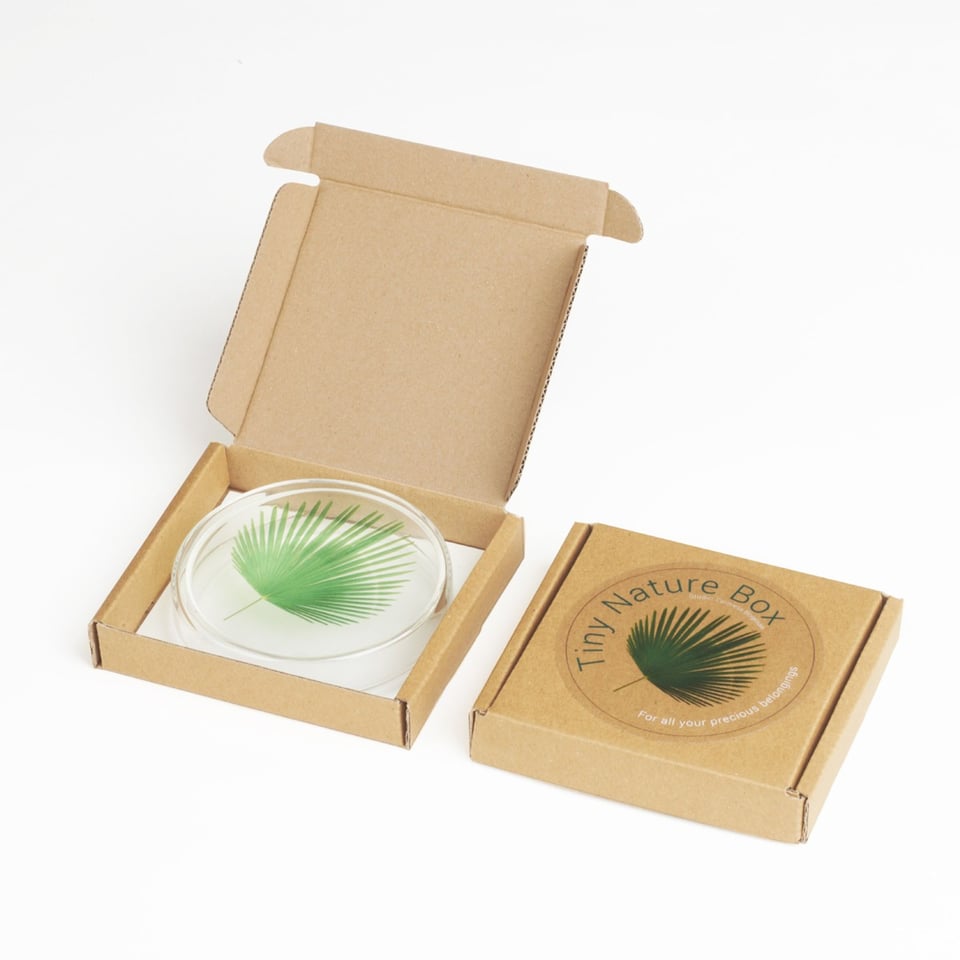 Tiny Nature Box-Palm