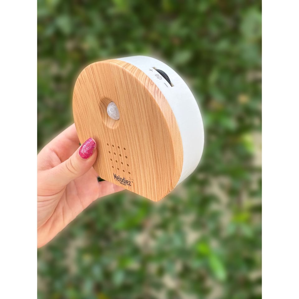 Melodiez Vogelhuisje Met Geluid Licht Hout