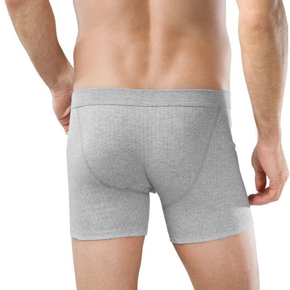 Short 2-Pack Cotton Essentials  103399