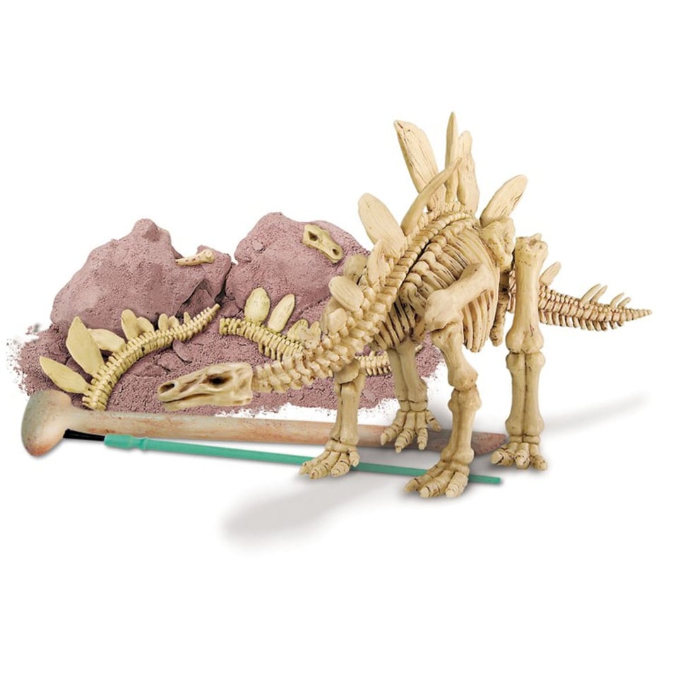 Skelet Bouwpakket Stegosaurus