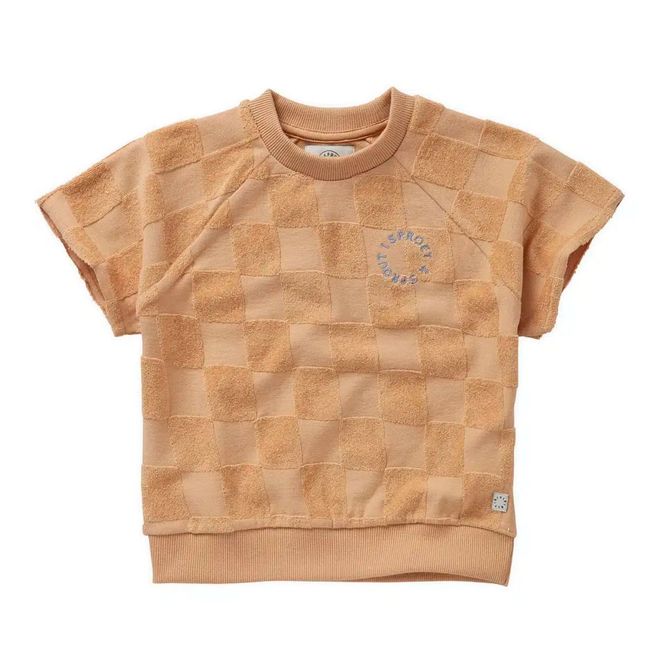 Sproet & Sprout Raglan Sweatshirt Terry Blocks Nectarine