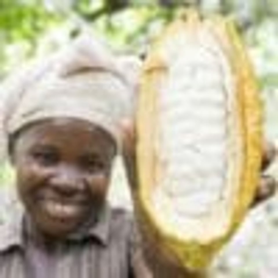 Latitude Witte Caramel 40 Procent Origine Uganda