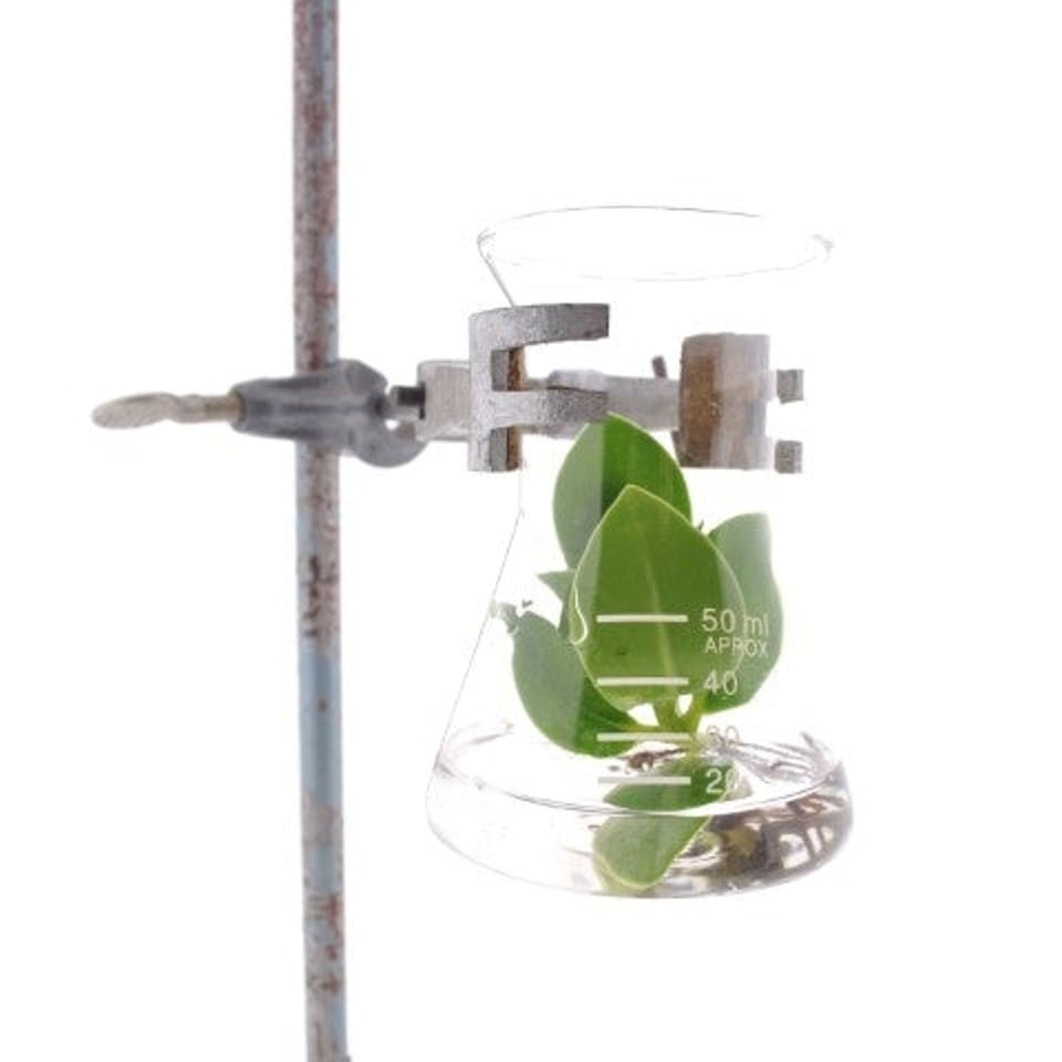Hydroponics in a Pharmacy Bottle - AT series