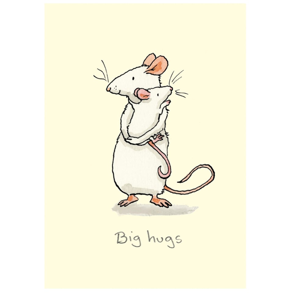 Two Bad Mice Anita Jeram Big Hugs