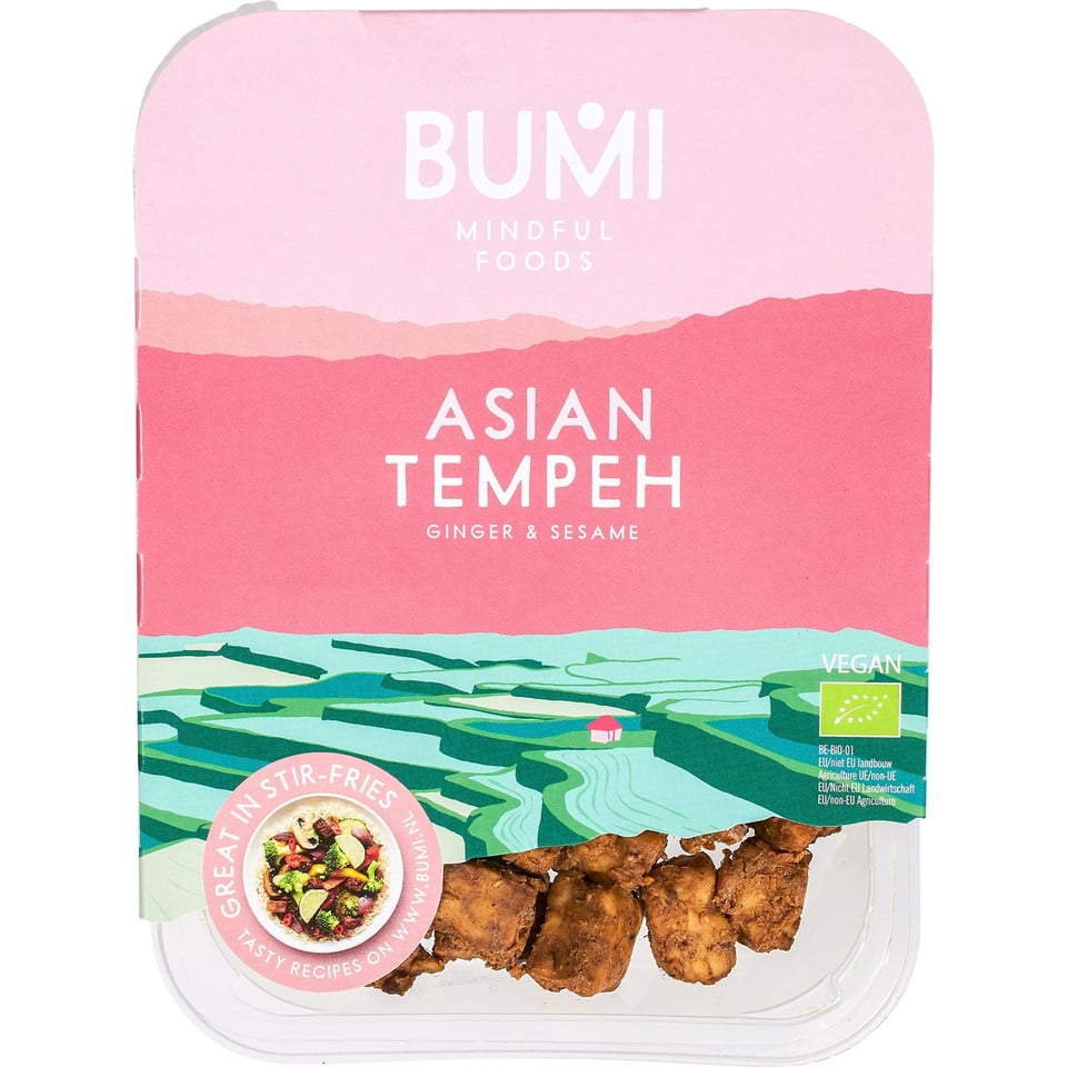 Aziatische Tempeh