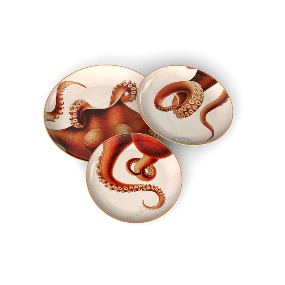 Porseleinen Set Octopus