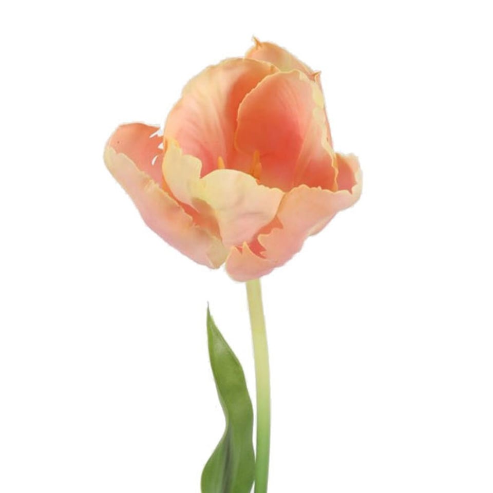 Kunstbloem Tulp Op Steel Peach Mix 70cm