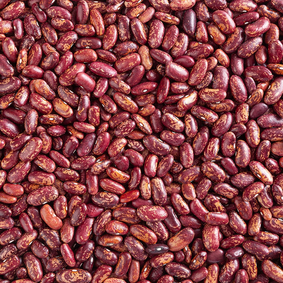Borlotti-Pinto Beans Organic