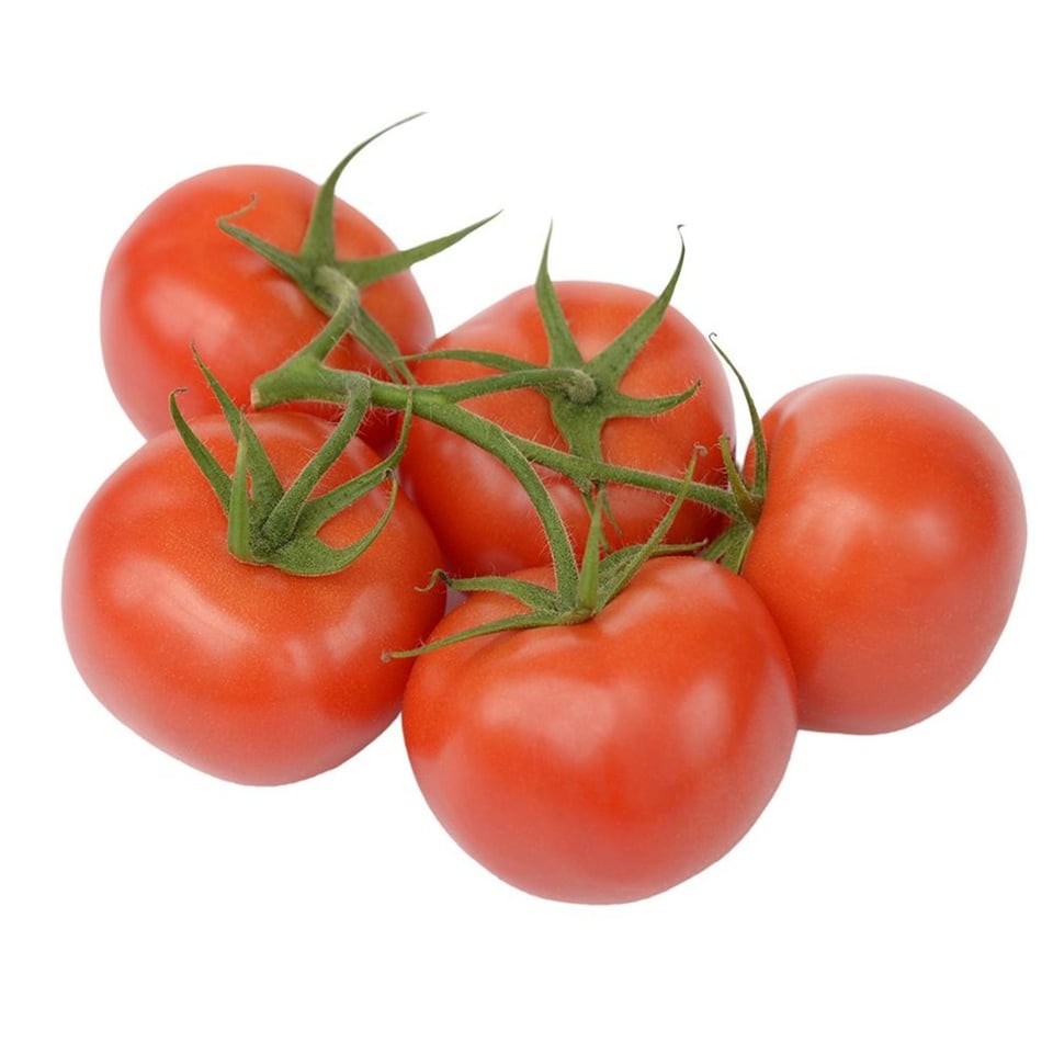 Tros Harvest Tomaten