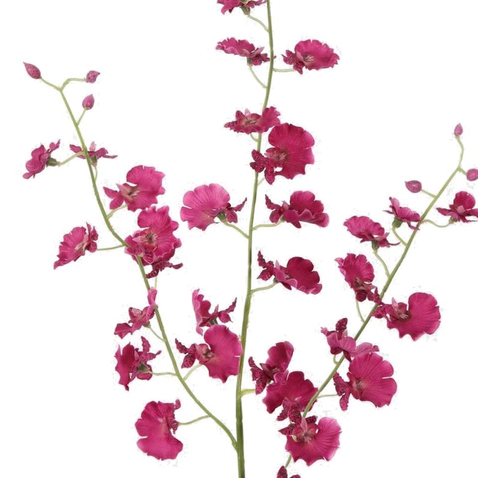 Kunstbloem Orchidee Paars Dancing Tak 80cm