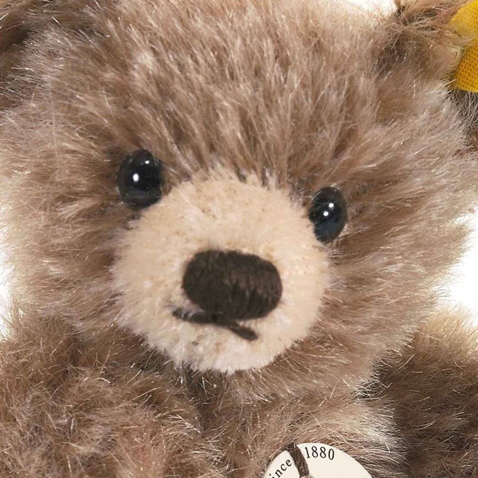 Mini Teddy Bear, Brown Tipped, 10 C