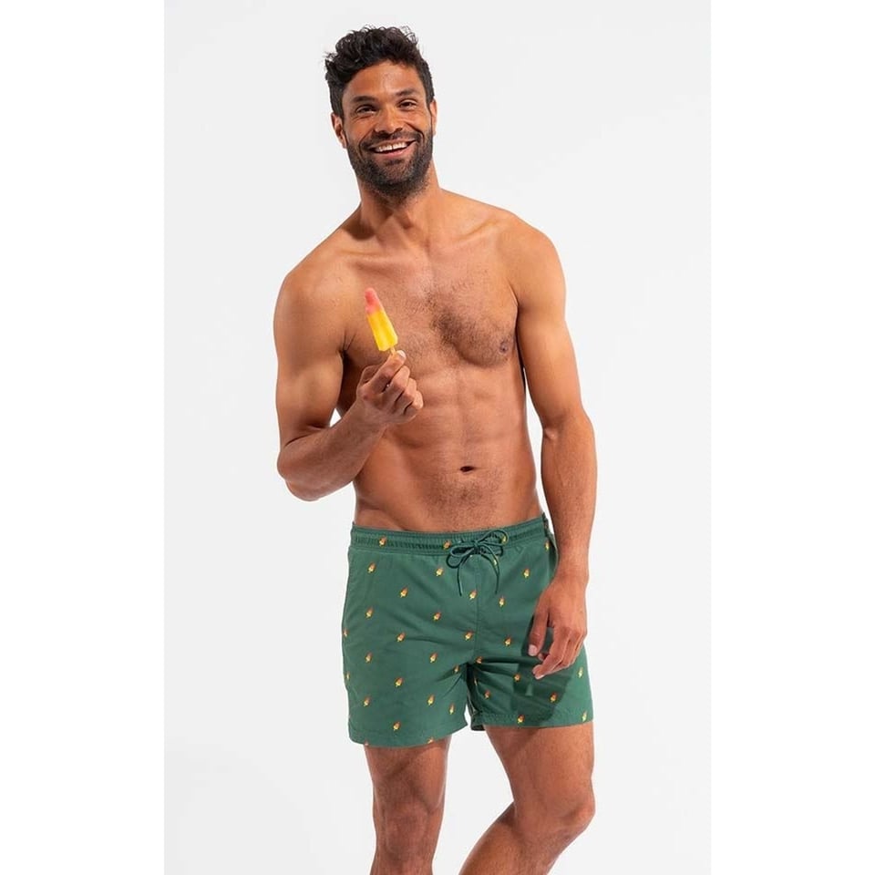 Swim Shorts Bram