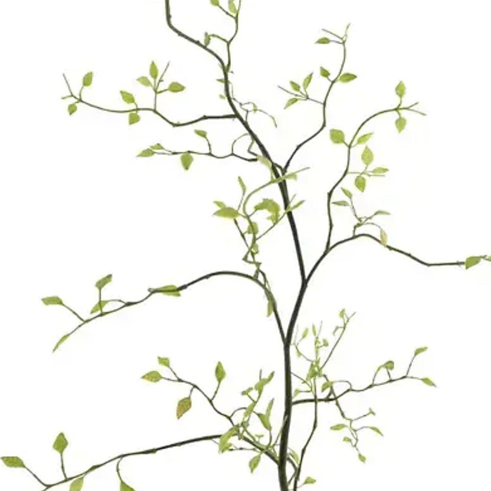 Kunstbloem Kamperfoelie Groen Tak 96cm