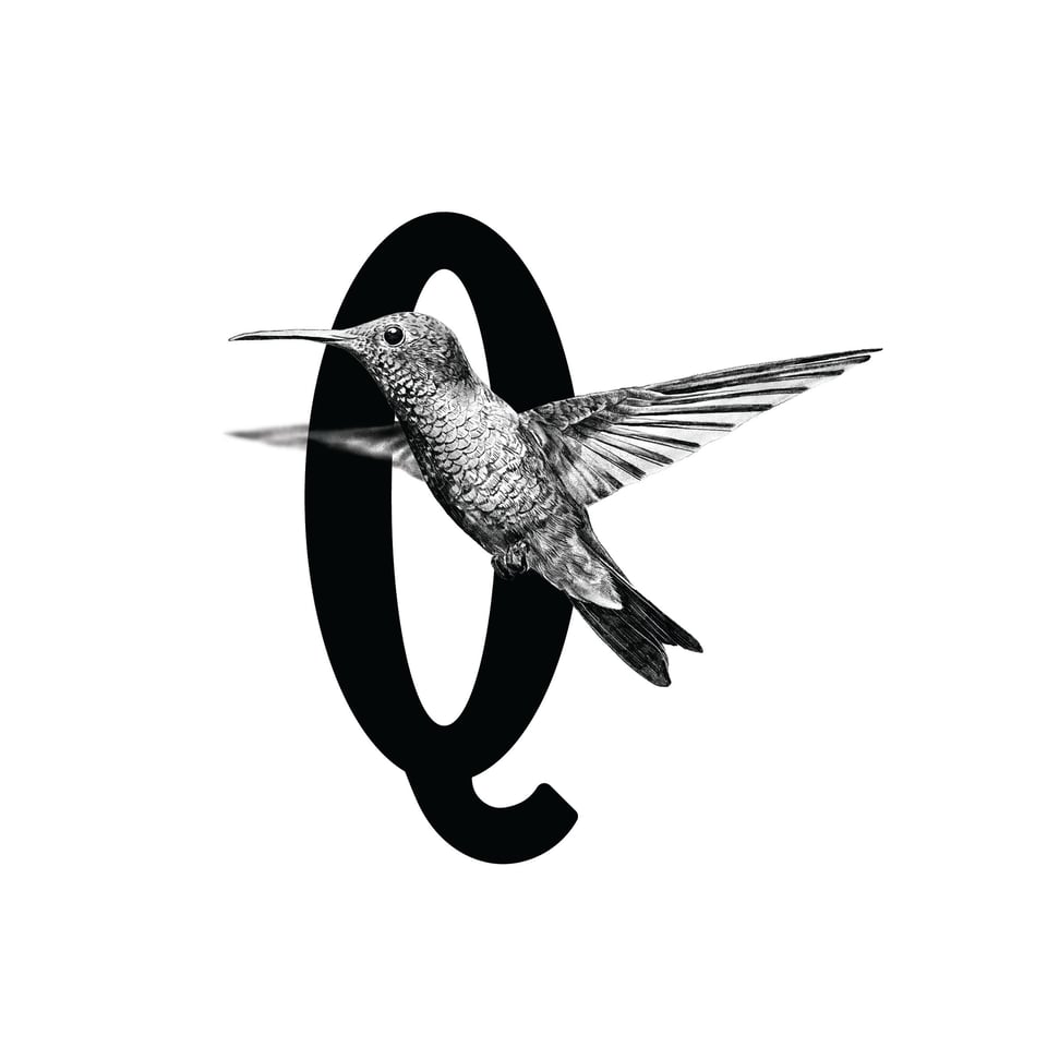 Letterbord Q Met Kolibri