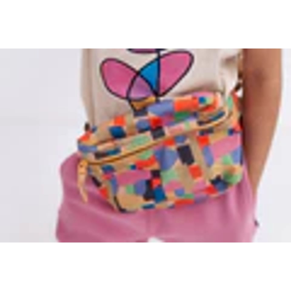 Repose Ams Fanny Pack Graphic Colorblock