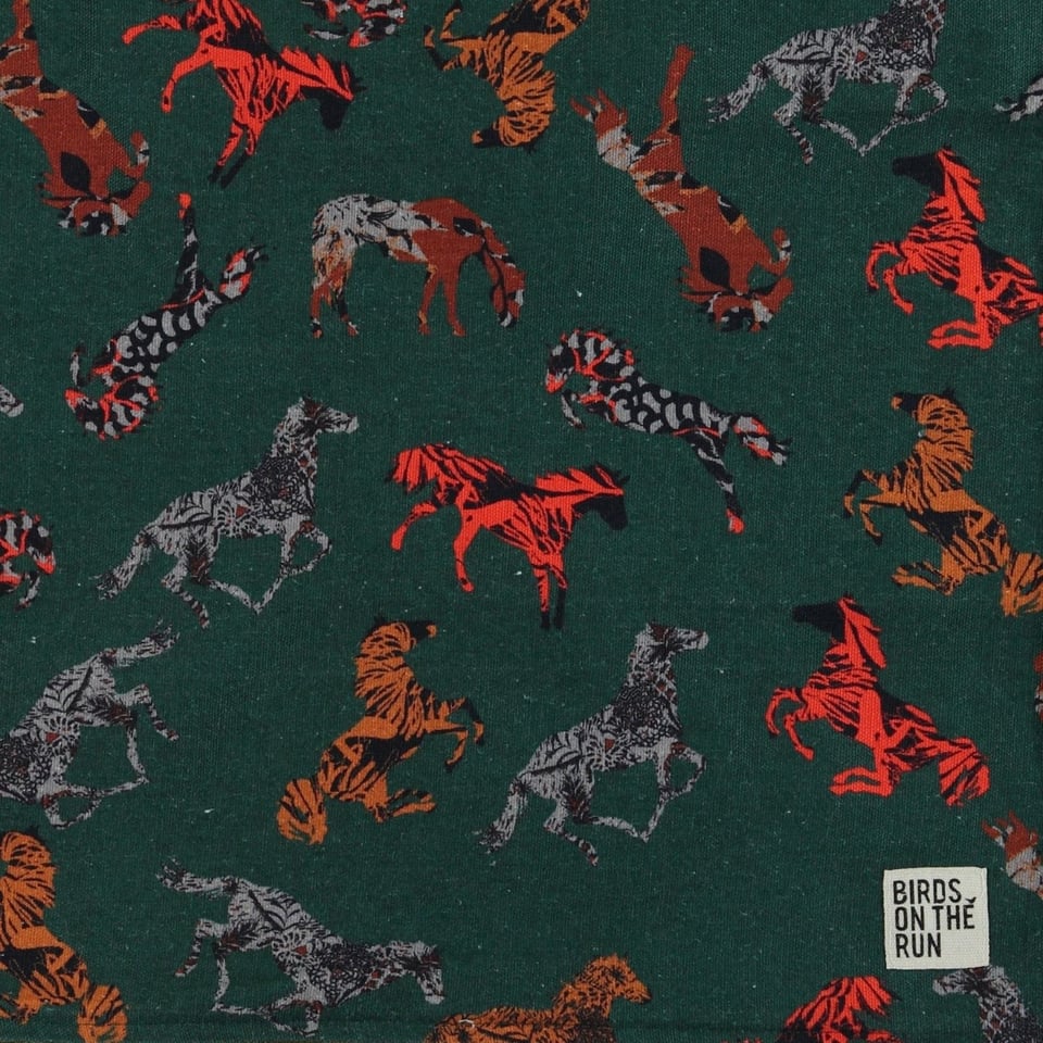 Horses & Leopard Print Cushion - Green - 60x40