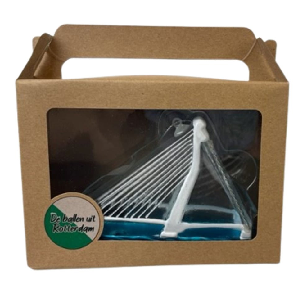 Kerstbal Erasmusbrug