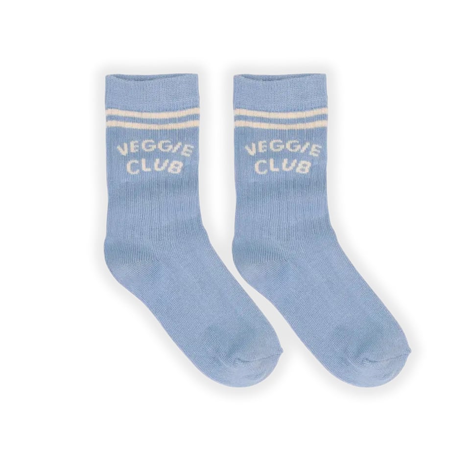 Sproet & Sprout Sport Socks Stripes Breezy Blue