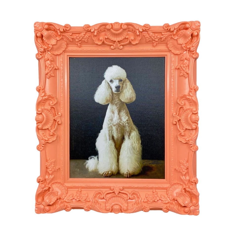 Schilderij Poedel in Peach Barok Lijst 30x35cm Handgeschilderd