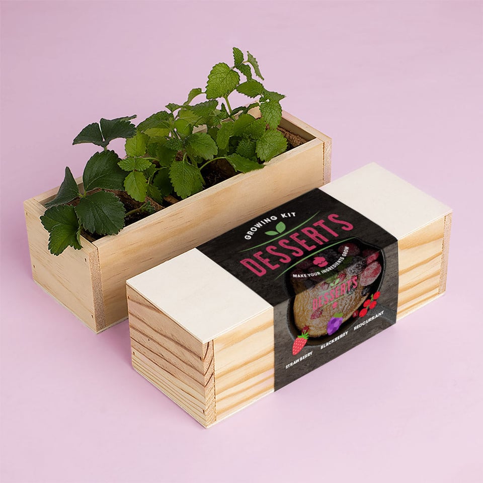 Growing Kit Desserts Herbs