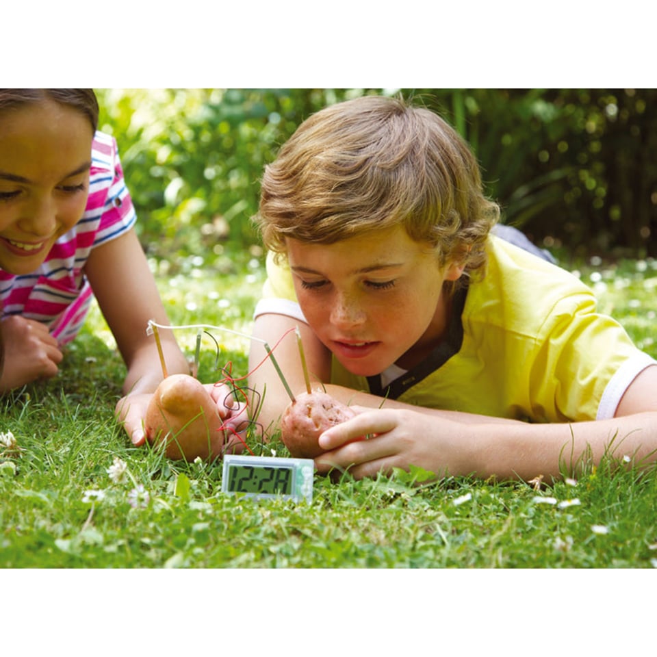 4M Kidzlabs Green Science Potato Clock 8+