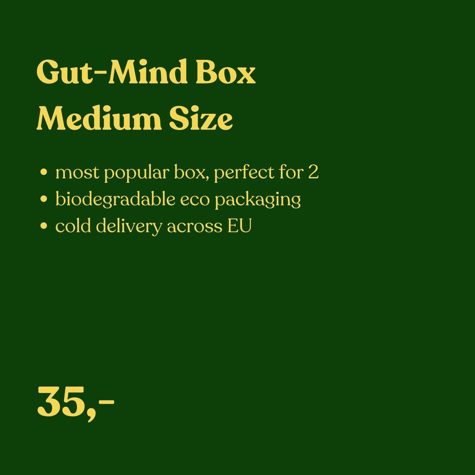 Medium Gut-Mind Box