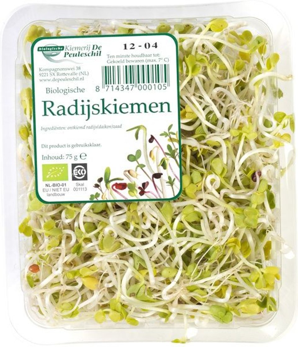 Radijskiemen