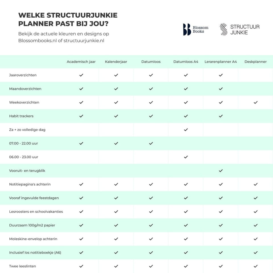 Structuurjunkie 2025/2026 Teacher Planner A4 NL