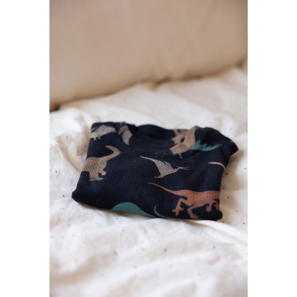 Feetje Premium Sleepwear: Davy Dino